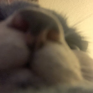 Meet your Posher, Jordan